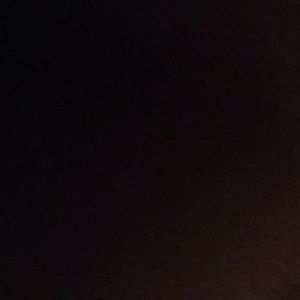 Meet your Posher, David ray